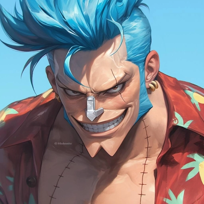 anh anime franky 12