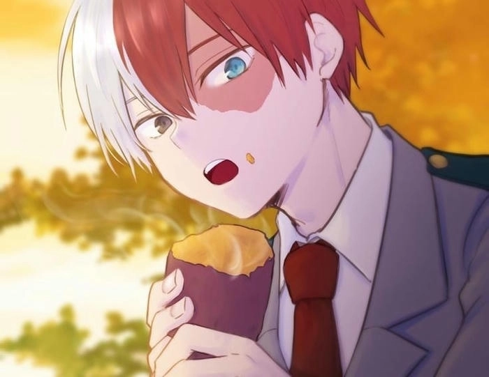 anh shoto todoroki 8