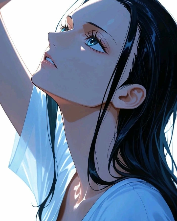 anime nico robin 23